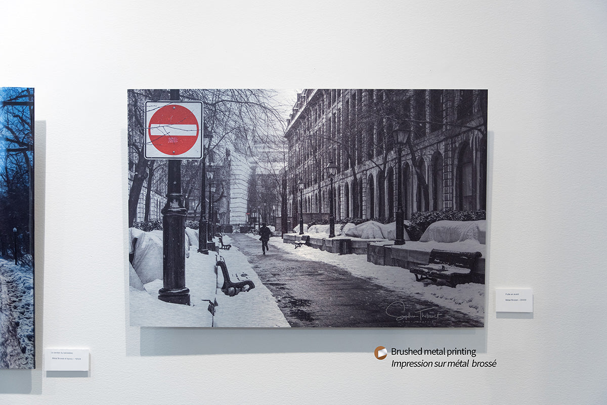 HD METAL PRINT MetalCraze