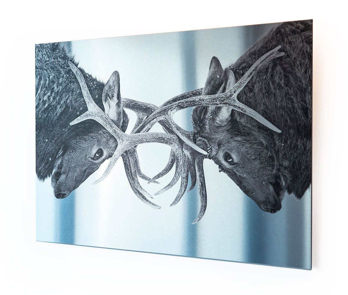 HD METAL PRINT  MetalCraze